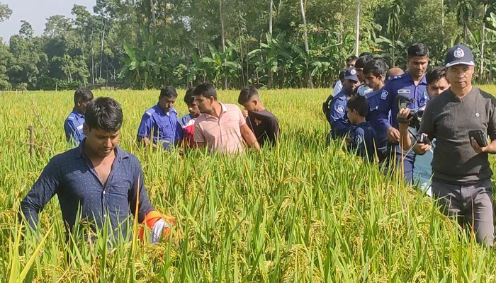 টাঙ্গাইলে নারীর মস্তকবিহীন দেহের খণ্ড খণ্ড অংশ উদ্ধার