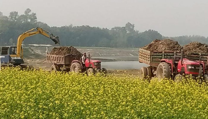 পাবনায় জমির ফসল নষ্ট করে মাটি কেটে ইটভাটায় বিক্রি 