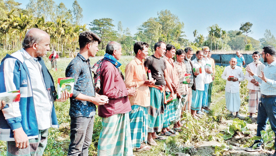 কৃষকদের মধ্যে বিনামূলে বীজ বিতরণ