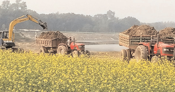 ফসলের মাটি ইটভাটায় বিক্রি