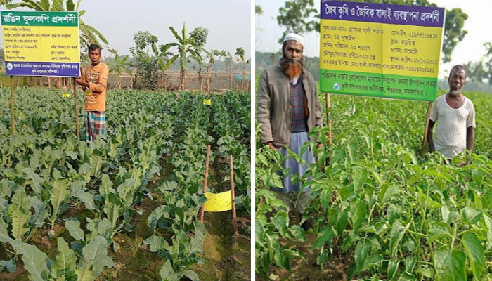 ঈশ্বরগঞ্জে বিষমুক্ত সবজি চাষে আগ্রহ বাড়ছে কৃষকদের