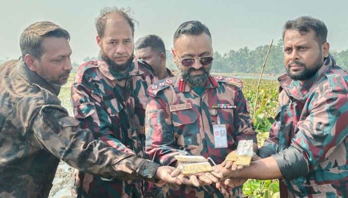 কৃষক বেশে ইছামতী নদী থেকে প্রায় সাড়ে ৩ কেজি স্বর্ণ উদ্ধার বিজিবির