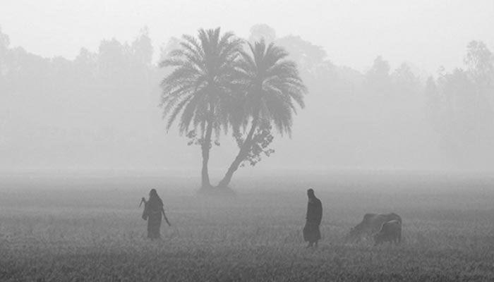 ২৬ জেলায় শৈত্যপ্রবাহ, দুই দিন বৃষ্টির পূর্বাভাস