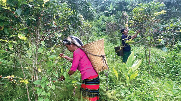 অর্থনৈতিকভাবে স্বাবলম্বী কৃষক