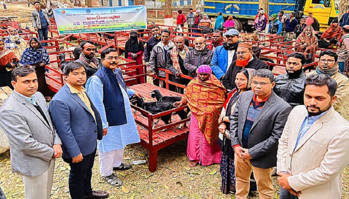 কাহারোলে ৩৬০টি অসহায় পরিবারের মাঝে ছাগল বিতরণ  