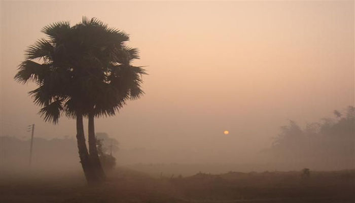 দেশের বিভিন্ন স্থানে শৈত্যপ্রবাহ