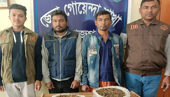 সিরাজগঞ্জে ২ কেজি গাঁজাসহ গ্রেপ্তার ২