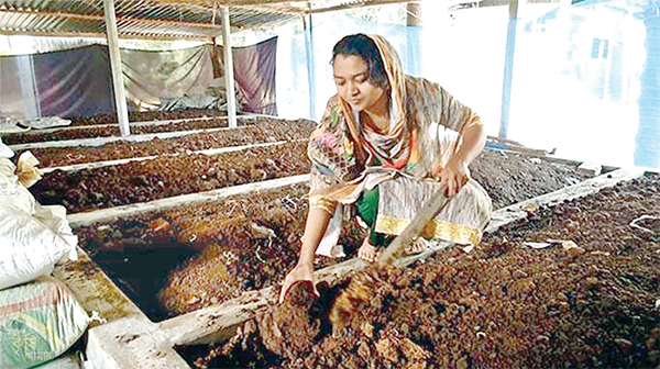 কেঁচো সার উৎপাদনে লাখ টাকা আয়!