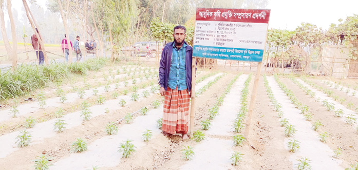 পলিথিন মালচিং পদ্ধতিতে বগুড়ায় শুরু হয়েছে মরিচ চাষ