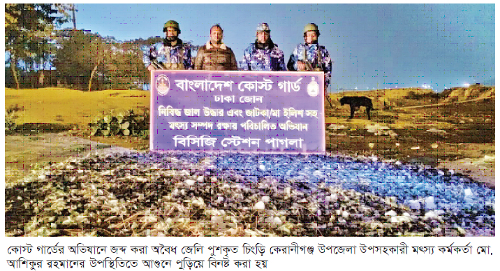 ঢাকার কেরানীগঞ্জে অবৈধ জেলি পুশকৃত চিংড়ি জব্দ