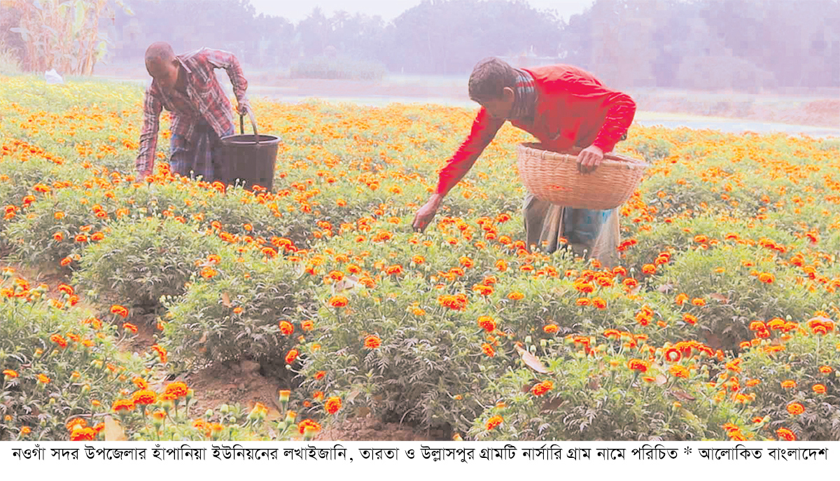 কোটি টাকার ফুল বিক্রির আশা