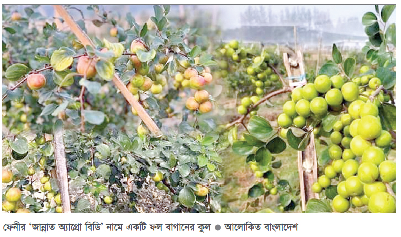 দেশি-বিদেশি ফল চাষে সাফল্য