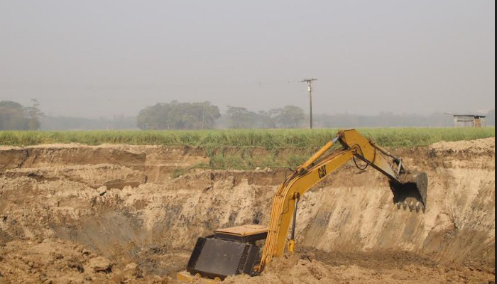 সিংগাইরে ফসলি জমি নিধন চলছেই