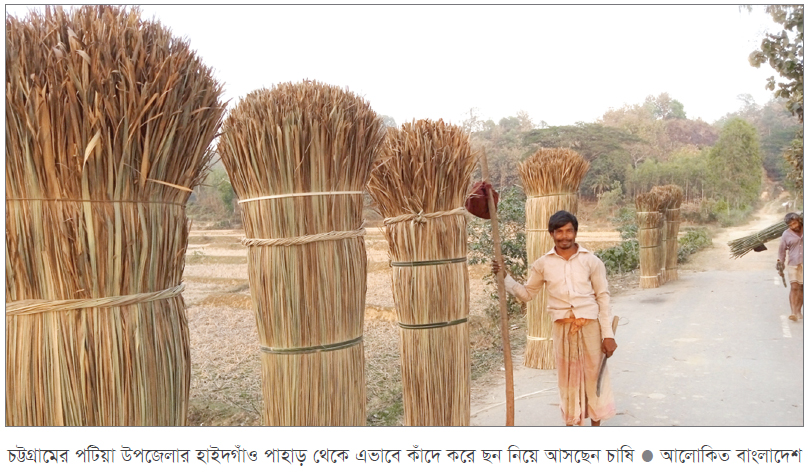 বিলুপ্তির পথে গ্রামবাংলার ছন