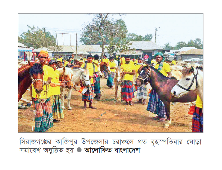 সিরাজগঞ্জের চরাঞ্চলে ঘোড়া সমাবেশ