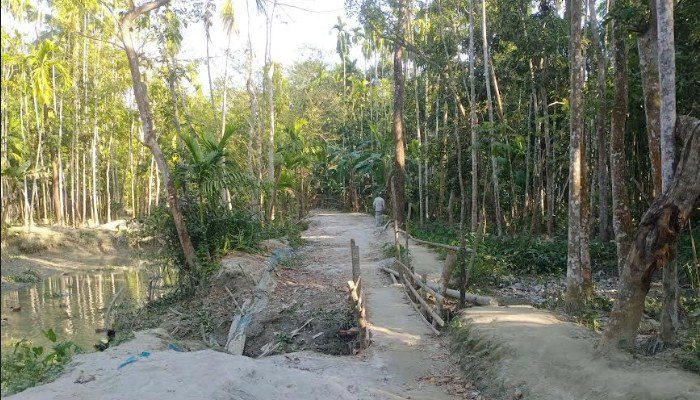 কাউখালীতে দীর্ঘদিন রাস্তা খুঁড়ে রাখায় জনজীবন চরম দূর্ভোগে