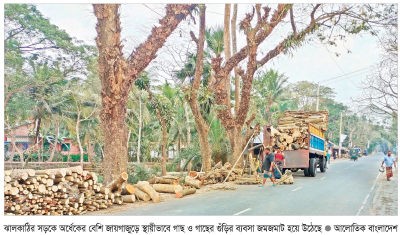 মহাসড়কে গাছের গুঁড়ির ব্যবসা : প্রায়ই ঘটে দুর্ঘটনা