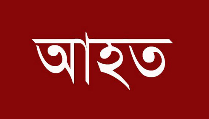 কলেজ ছাত্রীকে উত্যক্তের প্রতিবাদে হামলা, আহত ৪