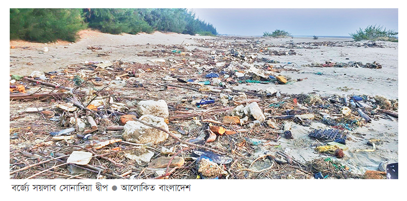 বর্জ্যে সয়লাব সোনাদিয়া দ্বীপ হুমকির মুখে জীববৈচিত্র্য