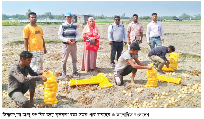 দিনাজপুরের আলু যাচ্ছে মালয়েশিয়া