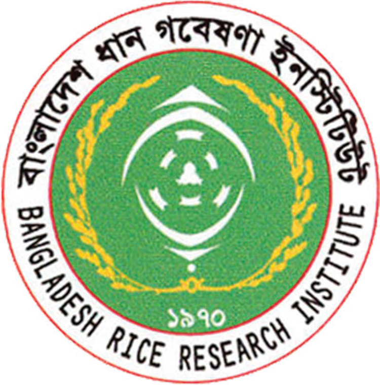 ধান গবেষণা ইনস্টিটিউটের সুবর্ণ জয়ন্তী ও ড. আমীরুল ইসলাম