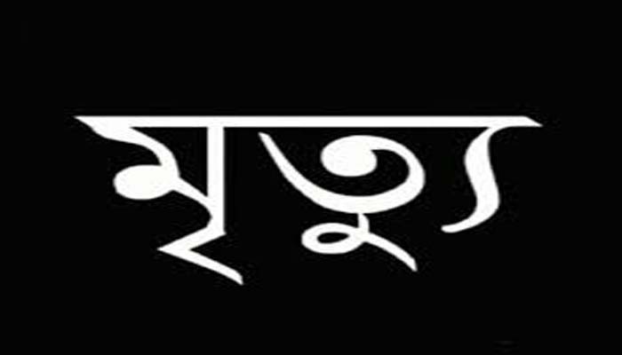 নাটোরে নছিমনের ধাক্কায় কলেজ ছাত্রের মৃত্যু