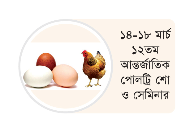 ডিম ও মুরগির দাম বাড়লেও লাভবান হচ্ছেন না উৎপাদনকারীরা