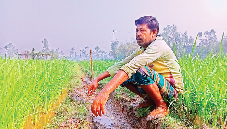 বাড়তি খরচে কৃষক চিন্তিত