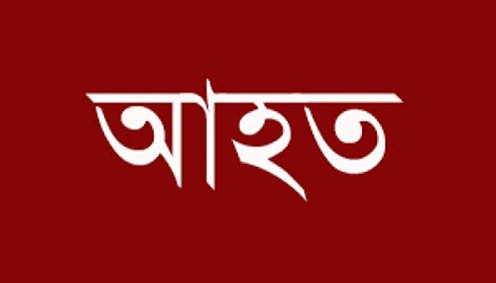 পেকুয়ায় জমি দখল নিতে হামলা, পুলিশসহ আহত ৫