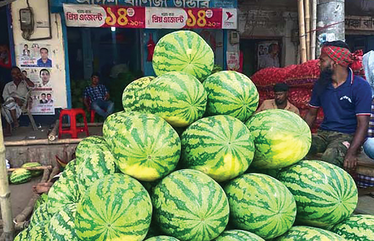 খুলনার বাজার কুয়াকাটার তরমুজে সয়লাব