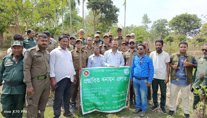 বনবিভাগের অভিযান: কক্সবাজারে ২৫ একর বনভূমি উদ্ধার