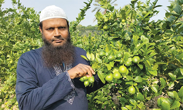 গোপালগঞ্জের সামাউলের লেবুতে বাজিমাত