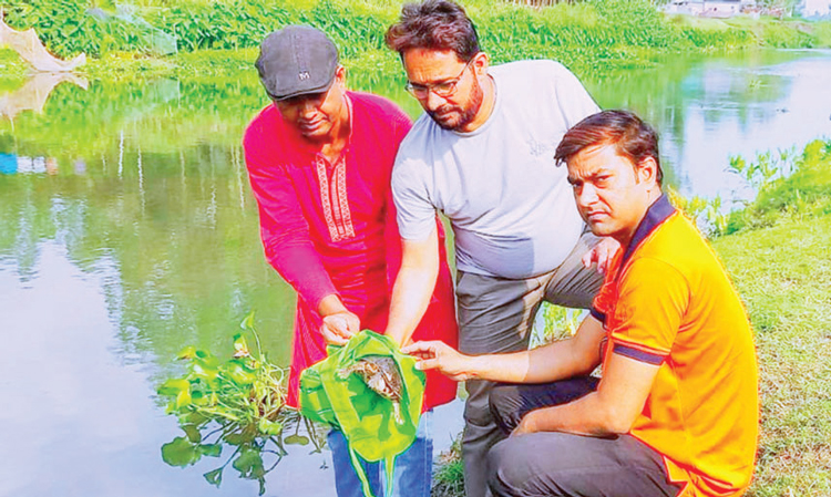 গ্রিন ভয়েজের বিরল প্রজাতির কচ্ছপ অবমুক্ত