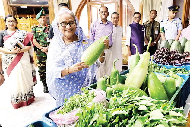 টুঙ্গিপাড়ায় পতিত জমিতে উৎপাদিত শাকসবজি ও ফলমূল গণভবনে