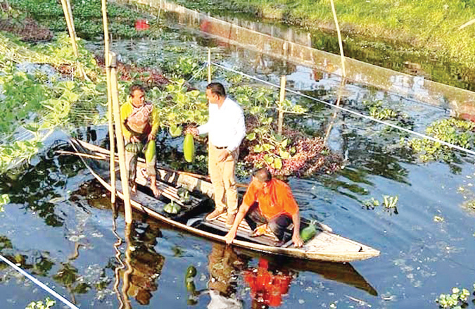 গোপালগঞ্জে কচুরিপানার বেডে সবজির সমারোহ