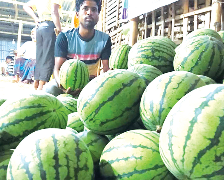 রাজশাহীতে হঠাৎ বেড়ে গেছে তরমুজের দাম