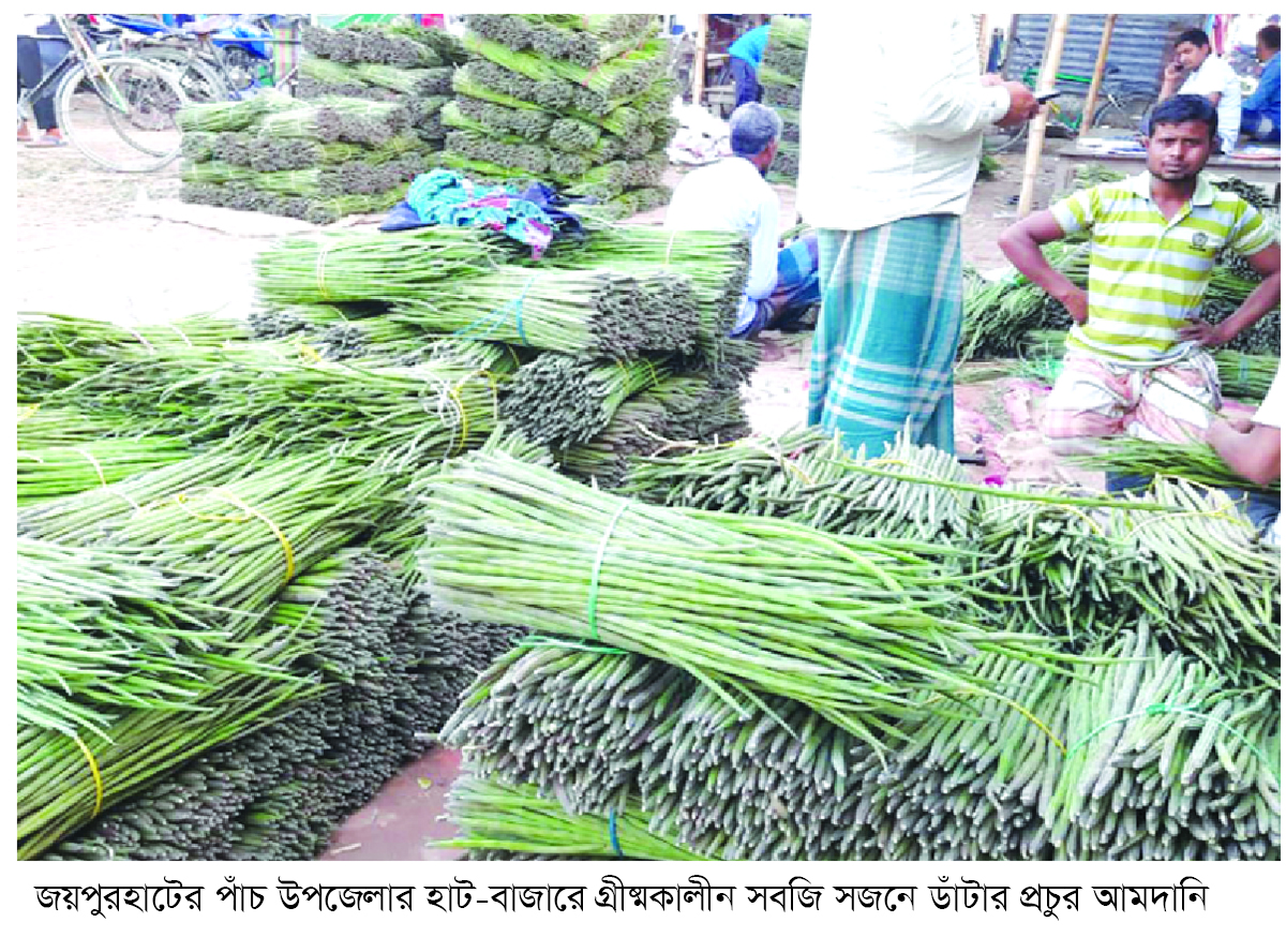 জয়পুরহাটের সজনে ডাঁটা যাচ্ছে সারা দেশে