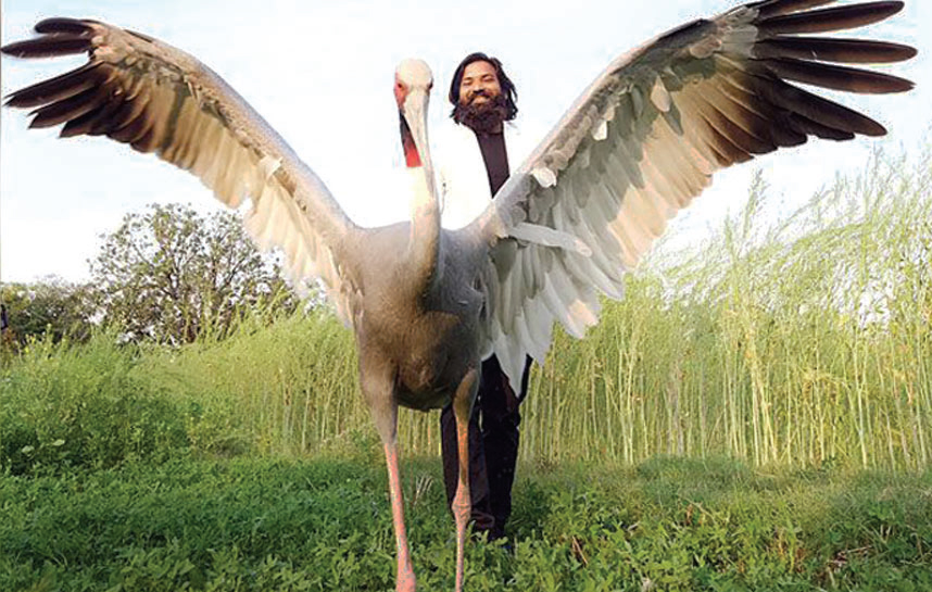 মানুষ ও সারসের ভালোবাসা