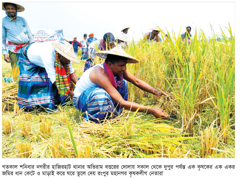 রংপুরে কৃষকের ধান কেটে ঘরে তুলে দিল মহানগর কৃষকলীগ