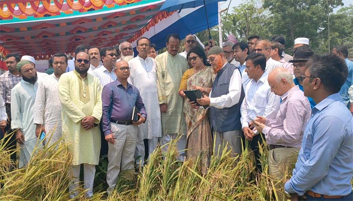 গোপালগঞ্জে 'খামারি' মোবাইল অ্যাপ ও বঙ্গবন্ধু ধান ১০০ নিয়ে মাঠ দিবস