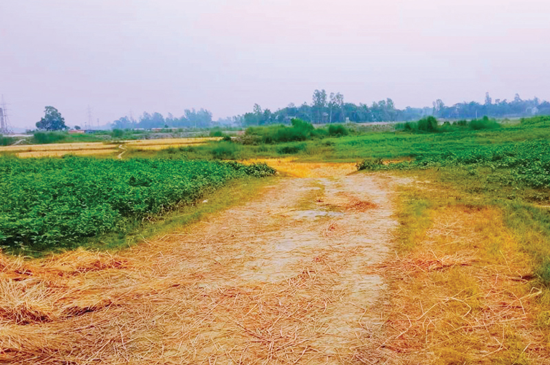 তিলক্ষেতে মাটি খেকোদের রাস্তা