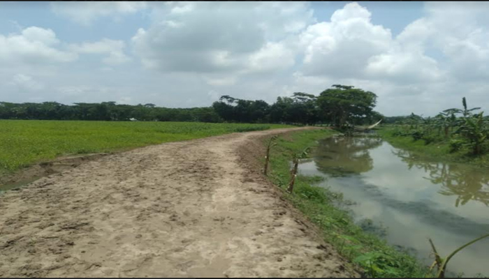 এলজিইডির ১৫ কি.মি. খালে ৮৪০ হেক্টর জমিতে ধানের বাম্পার ফলন