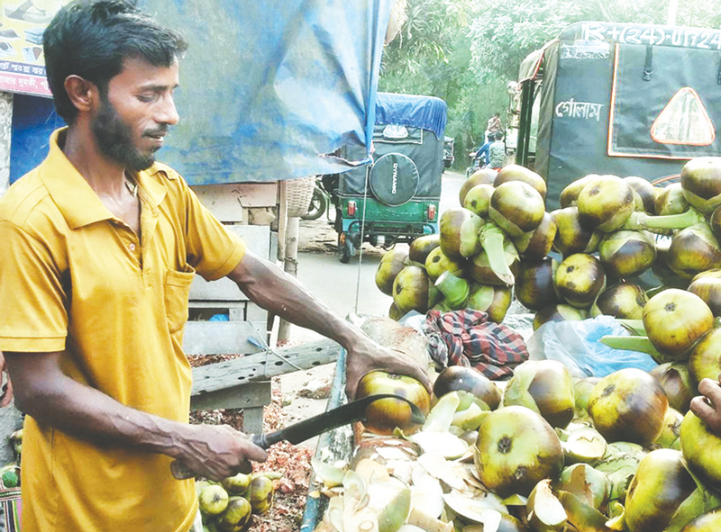 গরমে বেড়েছে তাল শাঁসের বিক্রি