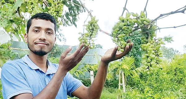 ইউক্রেনের আঙুর চাষে সফল ফারুক