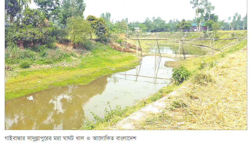 বৃষ্টির অভাবে শুকিয়ে যাচ্ছে খাল বিল