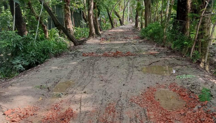 দুমকিতে রাস্তার বেহাল দশা, চলাচলে চরম ভোগান্তি