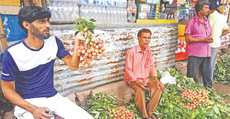 বাজারে অপরিপক্ব লিচু বিক্রির ধুম