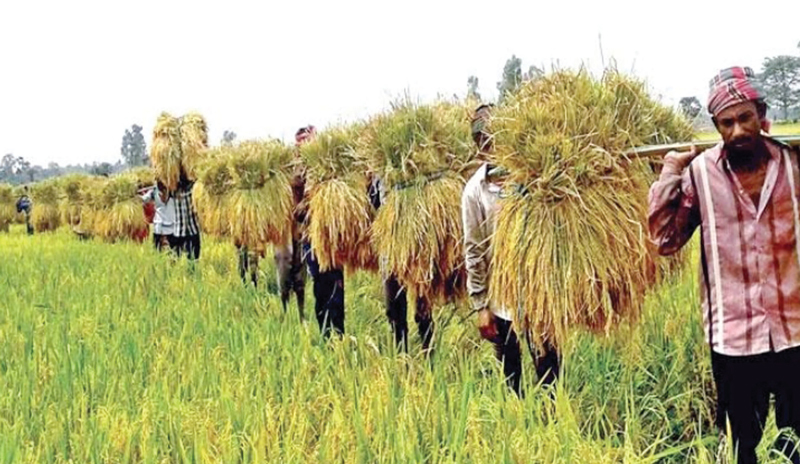 ১০ মাসে ২৭ হাজার কোটি টাকা কৃষিঋণ বিতরণ