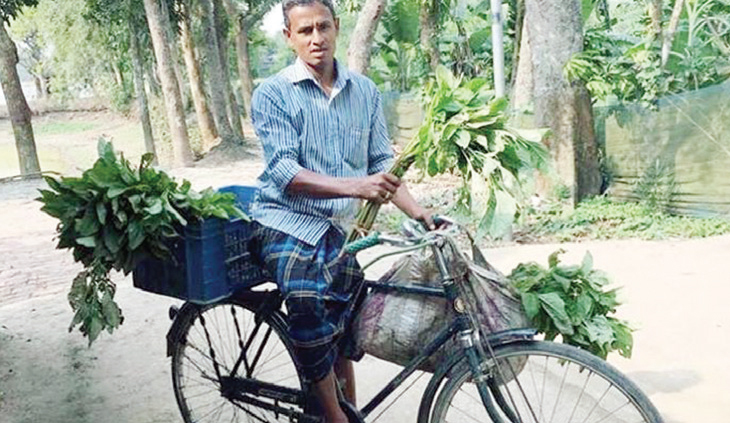 ব্রাহ্মণবাড়িয়ার কৃষক আলমগীর শাকসবজি চাষে স্বাবলম্বী