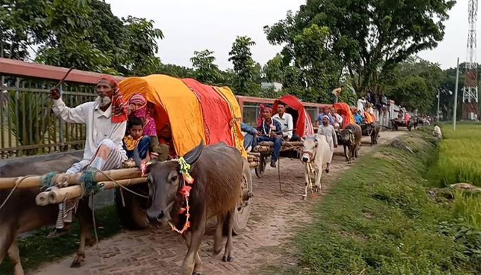 ঠাকুরগাঁওয়ে গ্রামবাসিকে চমক দেখিয়ে গরুর গাড়িতে আসলেন নববধু